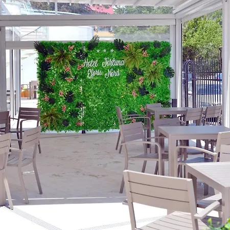 Hotel Fortuna Eforie Nord